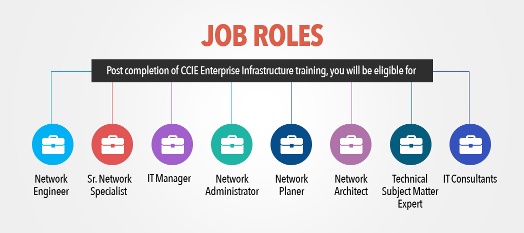 Job role after CCIE R&S - Network Bulls